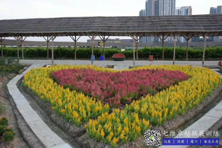 制定篮球交流计划以促进个人技能发展的方法_1